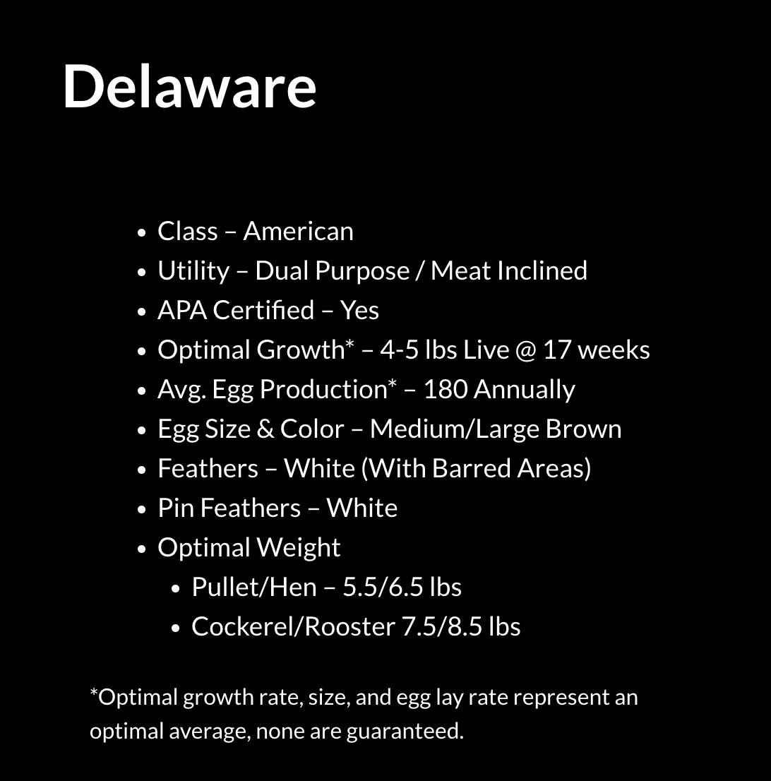 Delaware Eggs