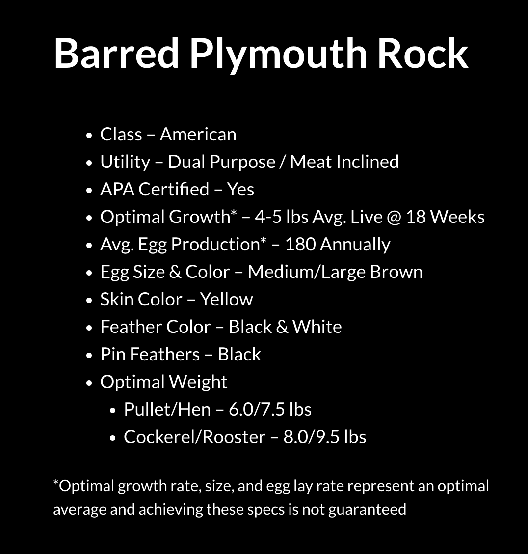 Barred Rock Eggs