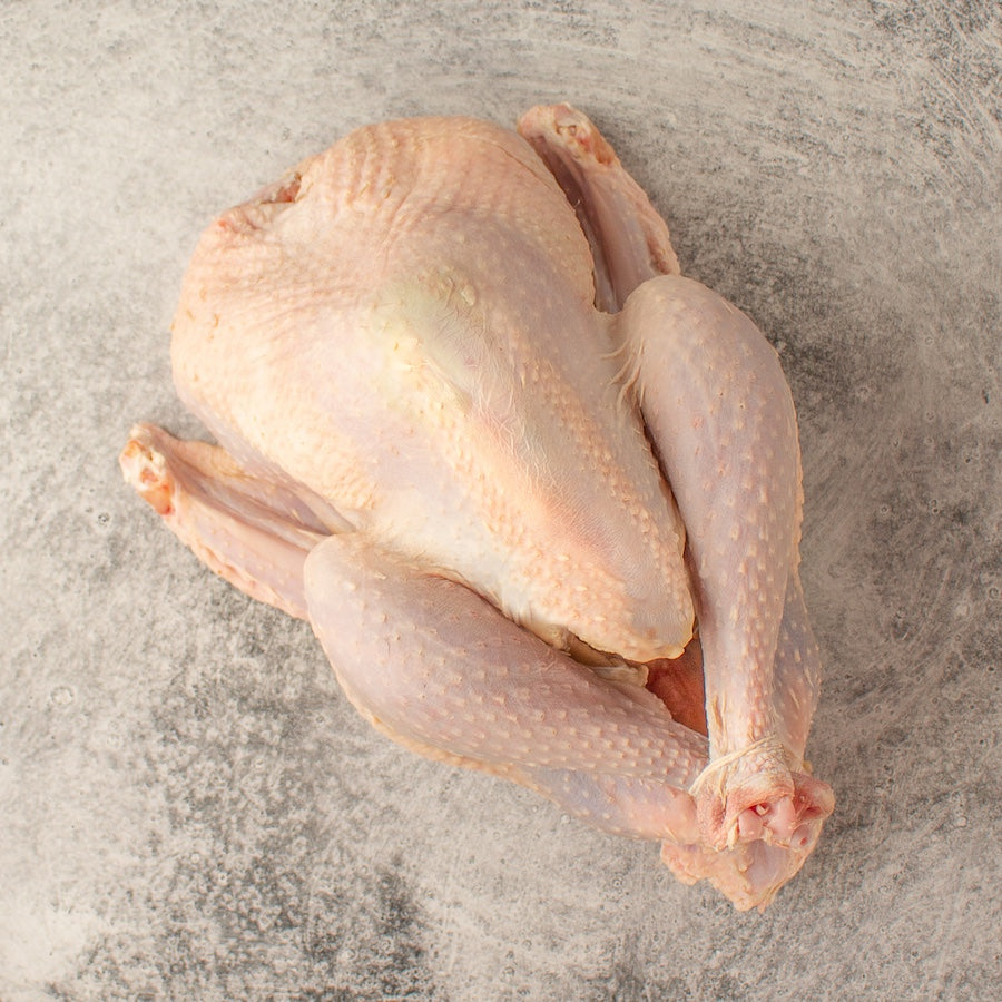 Wholesale Requests - Poultry Products